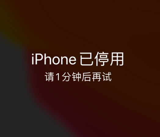 天祝苹果手机维修分享:iPhone 显示“不可用”或“已停用”怎么办？还能保留数据吗？ 