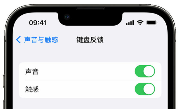 天祝苹果手机维修分享iPhone 14触感键盘使用方法 