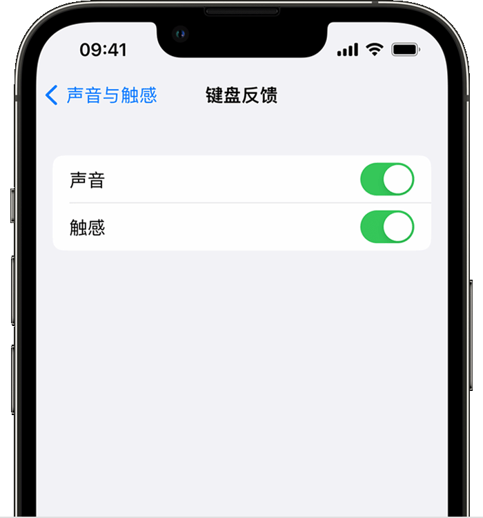 天祝苹果14维修店分享如何在 iPhone 14 机型中使用触感键盘 