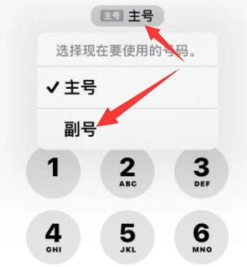 天祝苹果14维修店分享iPhone 14 Pro Max使用副卡打电话的方法 