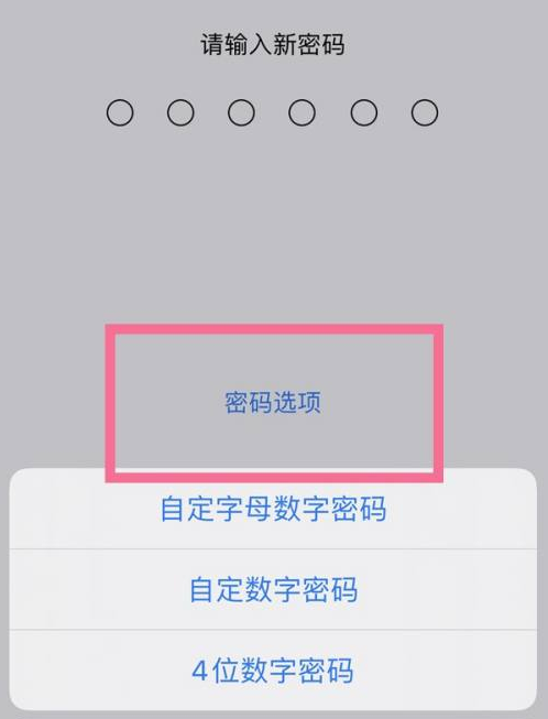 天祝苹果14维修分享iPhone 14plus设置密码的方法 