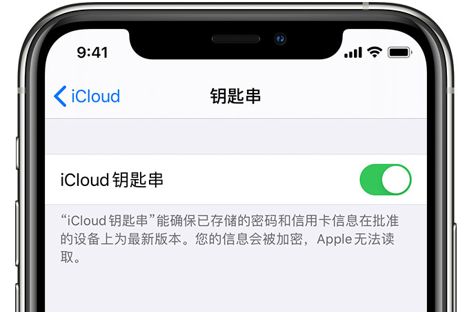 天祝苹果手机维修分享在 iPhone 上开启 iCloud 钥匙串之后会储存哪些信息 