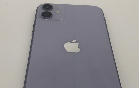 天祝苹果11系统维修分享iPhone11手机系统崩溃无法开机如何解决 